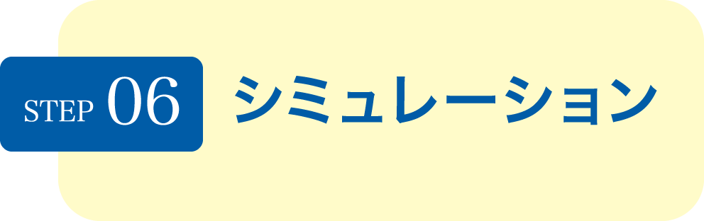 STEP06 シミュレーション